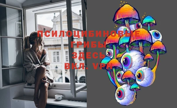 дурь Абаза