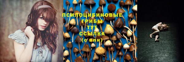 бошки Абдулино