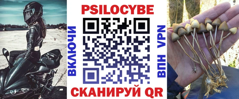 Псилоцибиновые грибы Psilocybine cubensis  где купить наркотик  Азнакаево 